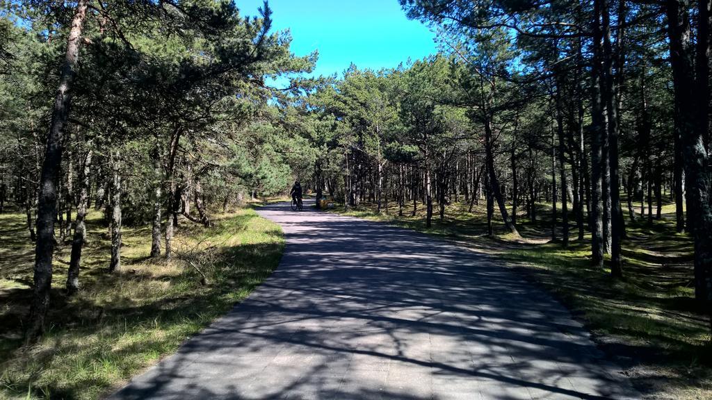 Roberto Apartamentai Palanga Kültér fotó